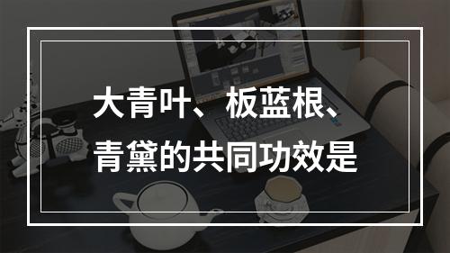 大青叶、板蓝根、青黛的共同功效是