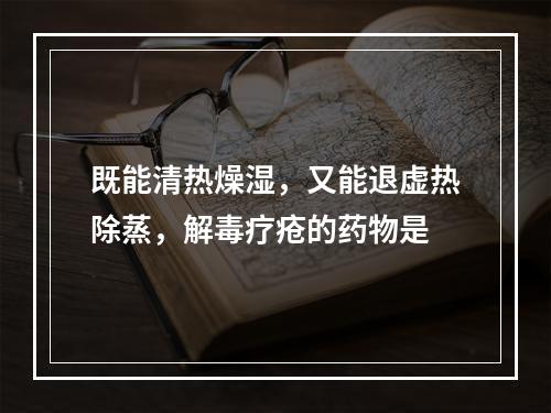 既能清热燥湿，又能退虚热除蒸，解毒疗疮的药物是