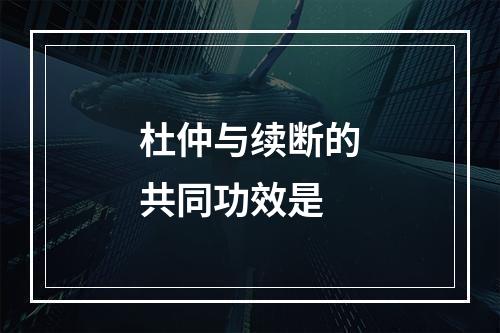 杜仲与续断的共同功效是