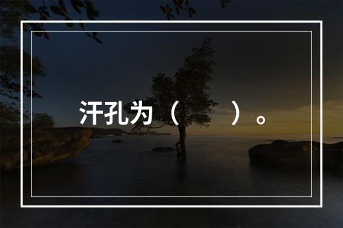 汗孔为（　　）。