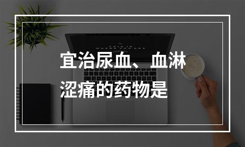 宜治尿血、血淋涩痛的药物是