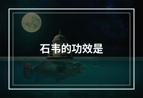 石韦的功效是