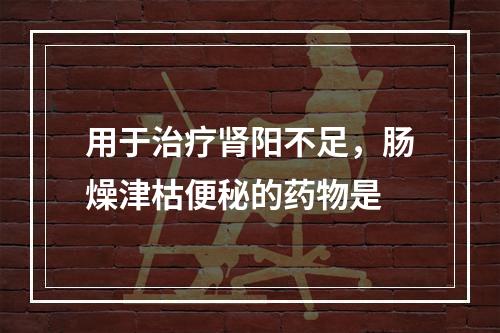 用于治疗肾阳不足，肠燥津枯便秘的药物是