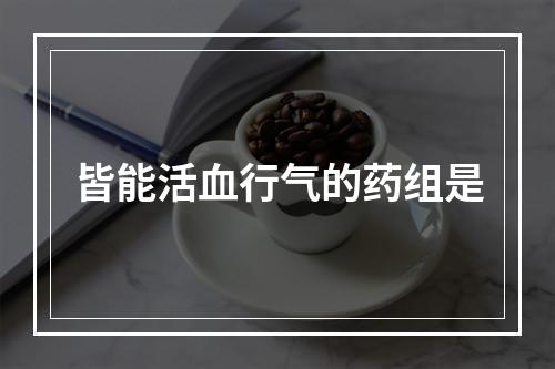 皆能活血行气的药组是