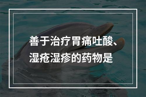 善于治疗胃痛吐酸、湿疮湿疹的药物是