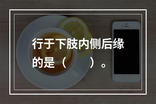 行于下肢内侧后缘的是（　　）。