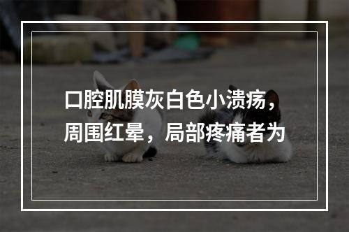 口腔肌膜灰白色小溃疡，周围红晕，局部疼痛者为