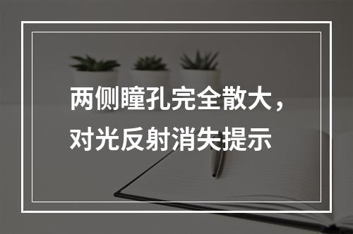 两侧瞳孔完全散大，对光反射消失提示