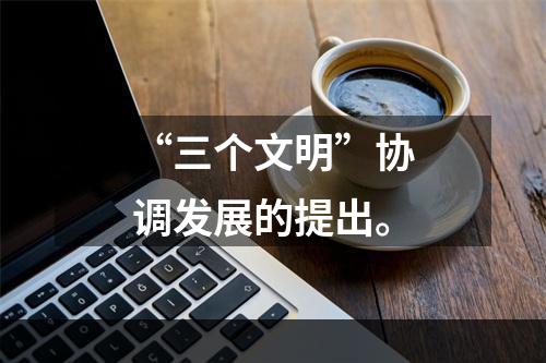 “三个文明”协调发展的提出。