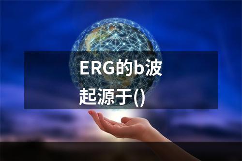 ERG的b波起源于()