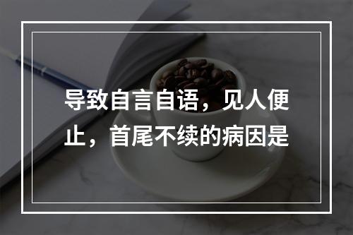 导致自言自语，见人便止，首尾不续的病因是