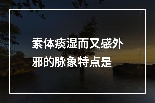 素体痰湿而又感外邪的脉象特点是