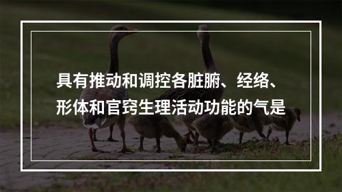 具有推动和调控各脏腑、经络、形体和官窍生理活动功能的气是