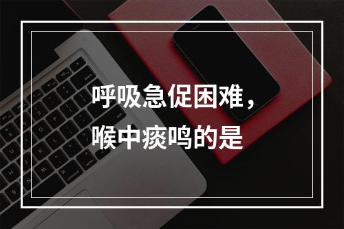 呼吸急促困难，喉中痰鸣的是