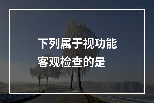 下列属于视功能客观检查的是