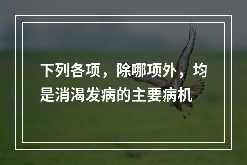 下列各项，除哪项外，均是消渴发病的主要病机