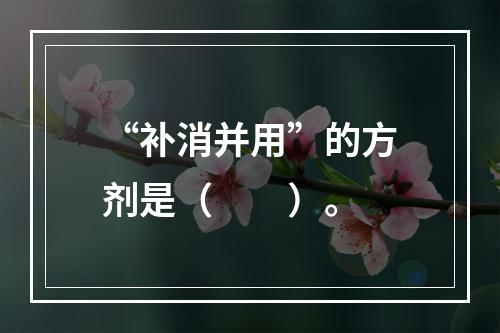 “补消并用”的方剂是（　　）。