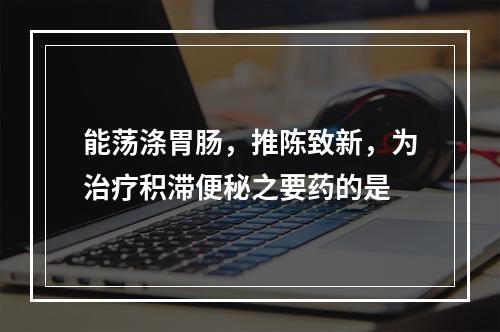 能荡涤胃肠，推陈致新，为治疗积滞便秘之要药的是