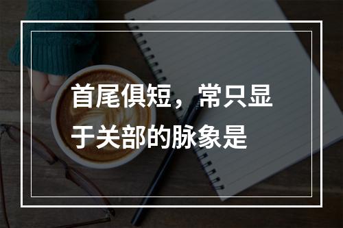 首尾俱短，常只显于关部的脉象是