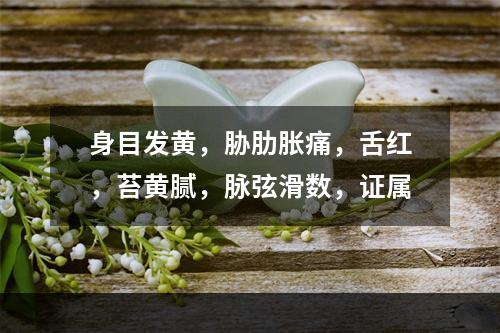 身目发黄，胁肋胀痛，舌红，苔黄腻，脉弦滑数，证属