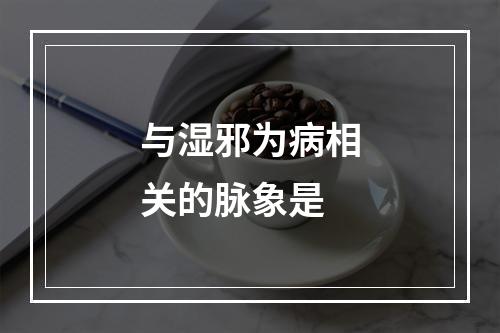 与湿邪为病相关的脉象是