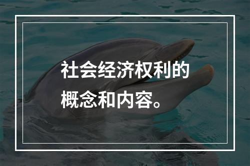 社会经济权利的概念和内容。