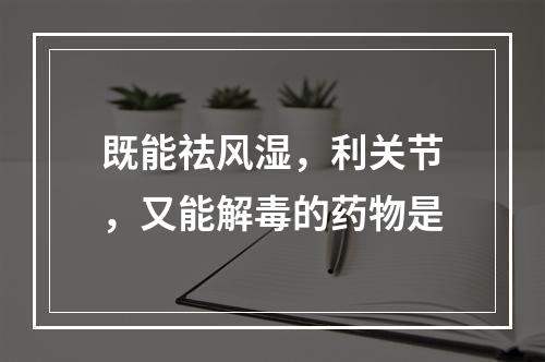 既能祛风湿，利关节，又能解毒的药物是