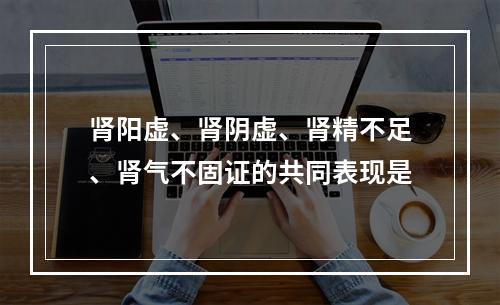 肾阳虚、肾阴虚、肾精不足、肾气不固证的共同表现是