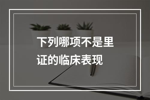 下列哪项不是里证的临床表现