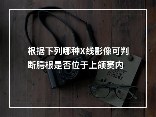 根据下列哪种X线影像可判断腭根是否位于上颌窦内