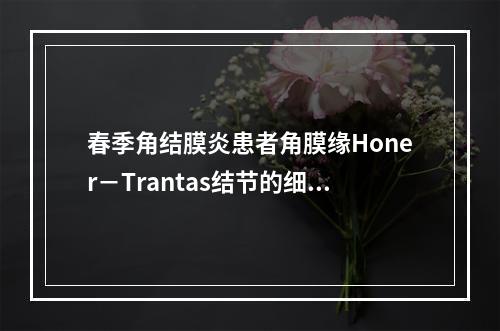 春季角结膜炎患者角膜缘Honer－Trantas结节的细胞组