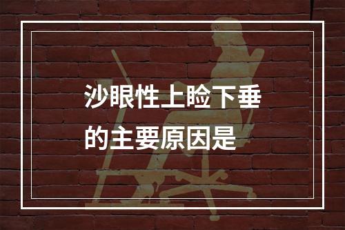 沙眼性上睑下垂的主要原因是