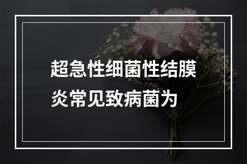 超急性细菌性结膜炎常见致病菌为