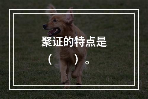 聚证的特点是（　　）。