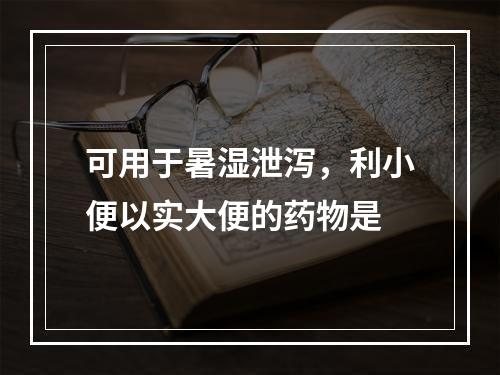 可用于暑湿泄泻，利小便以实大便的药物是