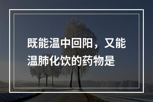 既能温中回阳，又能温肺化饮的药物是