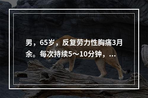 男，65岁，反复劳力性胸痛3月余。每次持续5～10分钟，休息