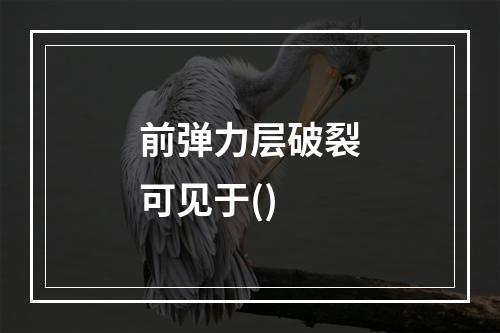 前弹力层破裂可见于()