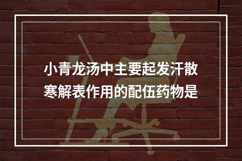 小青龙汤中主要起发汗散寒解表作用的配伍药物是