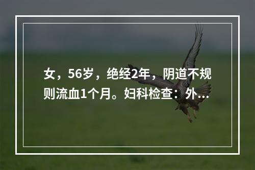 女，56岁，绝经2年，阴道不规则流血1个月。妇科检查：外阴正