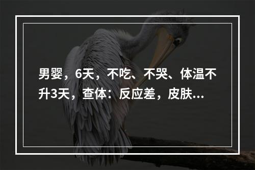 男婴，6天，不吃、不哭、体温不升3天，查体：反应差，皮肤黄染