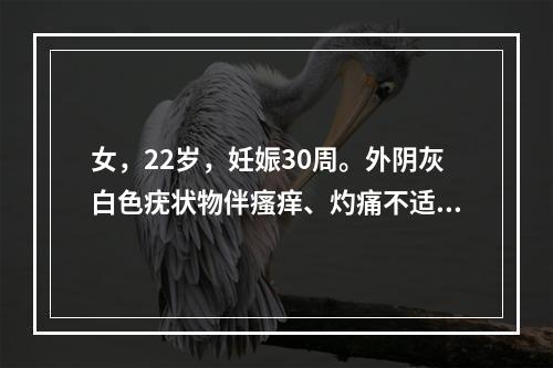 女，22岁，妊娠30周。外阴灰白色疣状物伴瘙痒、灼痛不适半个