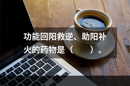 功能回阳救逆、助阳补火的药物是（　　）。