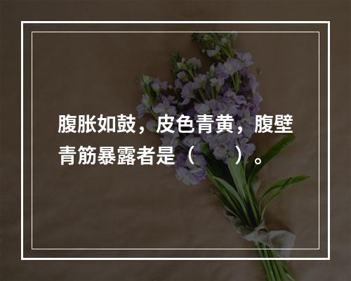 腹胀如鼓，皮色青黄，腹壁青筋暴露者是（　　）。