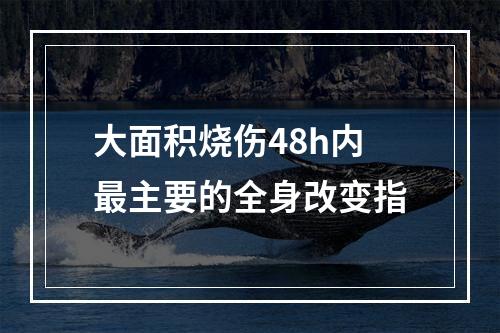 大面积烧伤48h内最主要的全身改变指