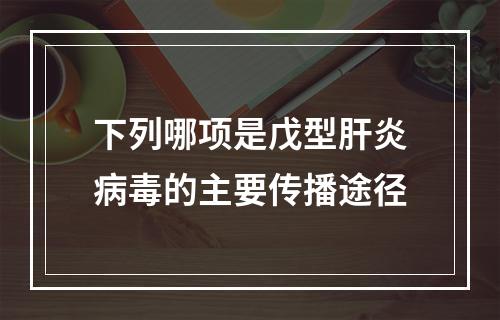 下列哪项是戊型肝炎病毒的主要传播途径