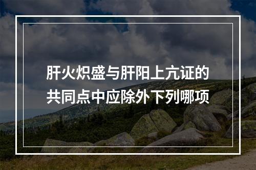 肝火炽盛与肝阳上亢证的共同点中应除外下列哪项