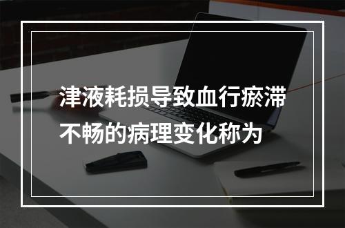 津液耗损导致血行瘀滞不畅的病理变化称为