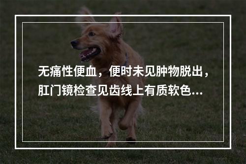 无痛性便血，便时未见肿物脱出，肛门镜检查见齿线上有质软色红或