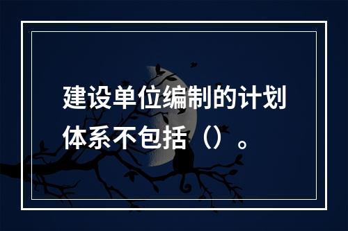 建设单位编制的计划体系不包括（）。